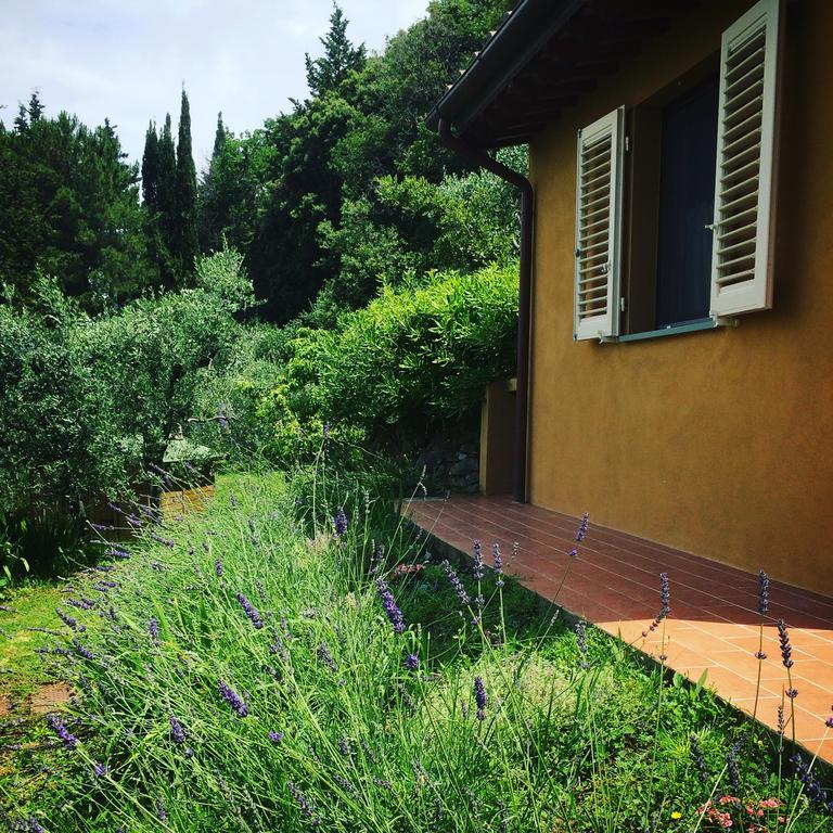 La Locanda Del Barbagianni Santa Luce Exterior foto